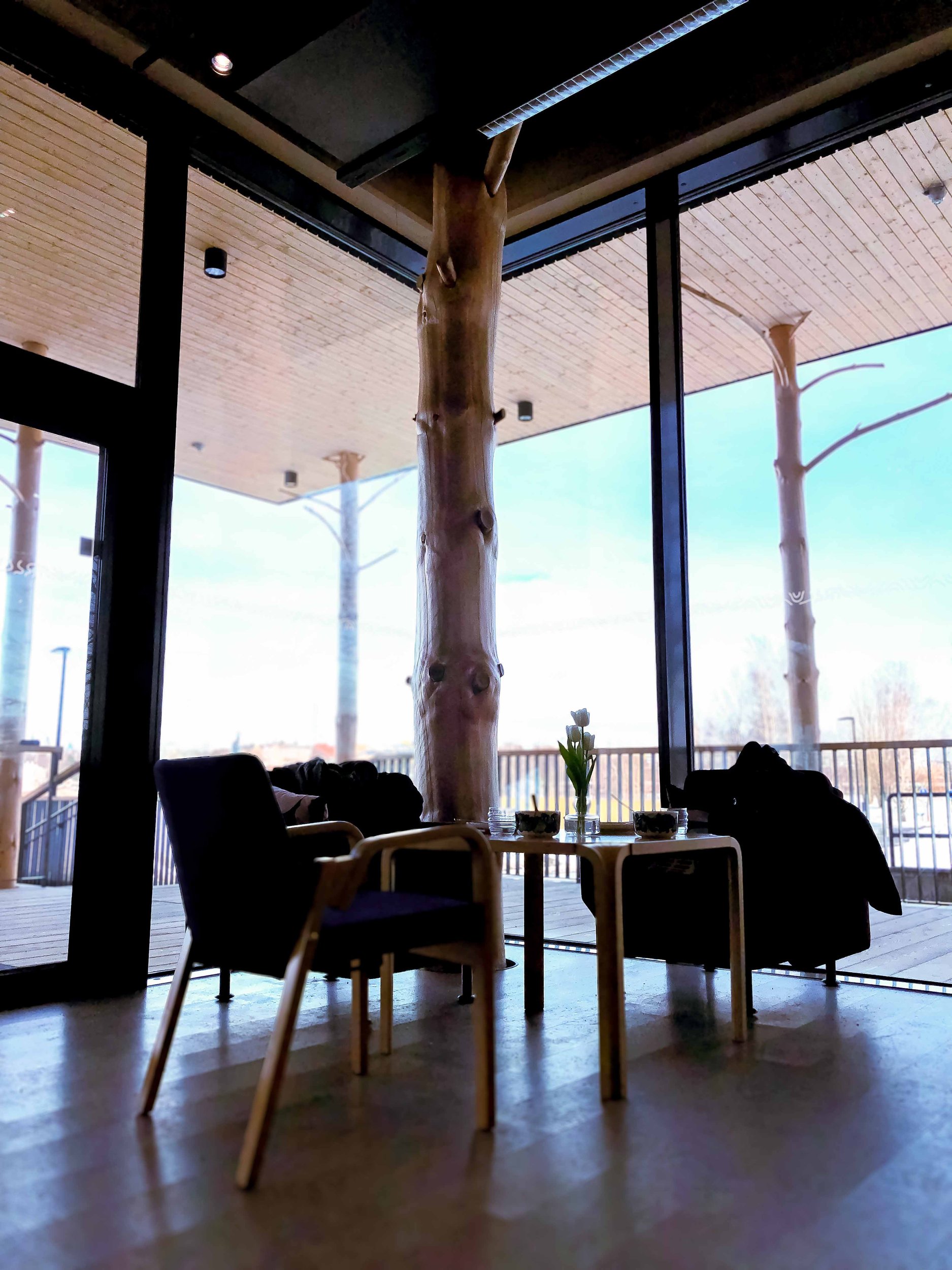 Corner table in the café. In the background, large windows and the landscape of early spring.
