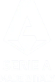Serie A logo.