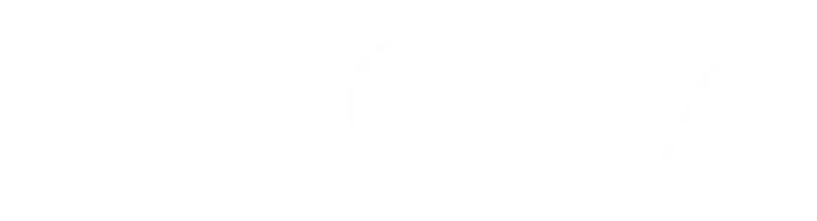 Anoran valkoinen logo.