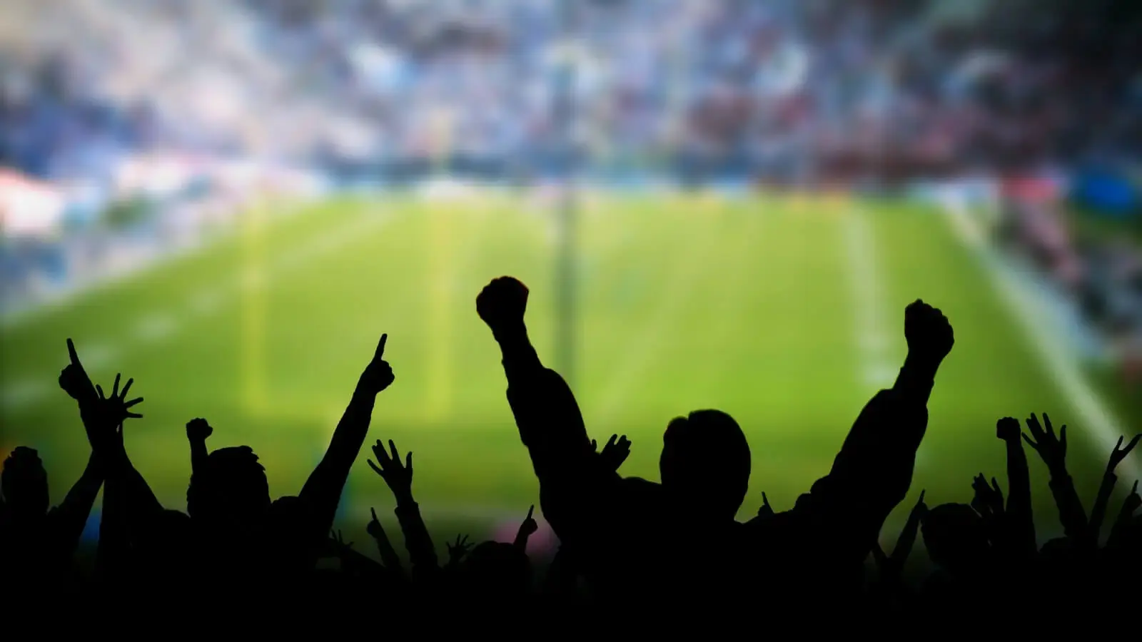People cheering for a football match.